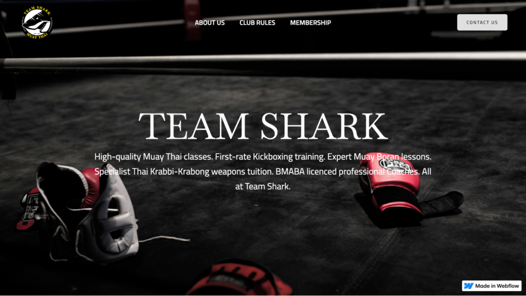 The Best MMA Gyms in London in 2025