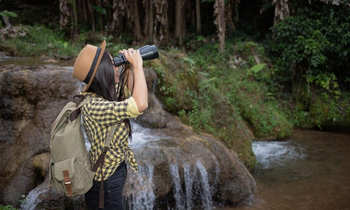 Consider Visiting Kaziranga National Park