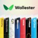 Wallester: New Generation of Corporate Finance