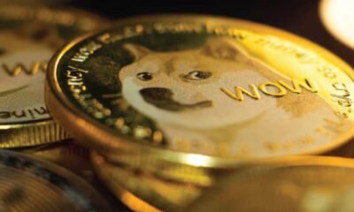 Dogecoin Effect: How a Meme Coin Became a Global Phenomenon