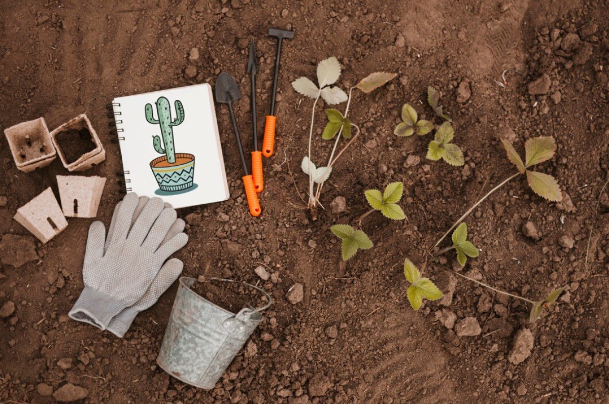 How to Choose the Right top soil for Your Landscaping Project