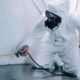 How Does Professional Pest Control Work?