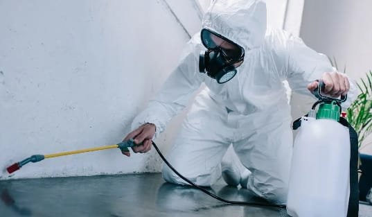 How Does Professional Pest Control Work?