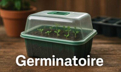 Germinatoire Explained: The Simple Secret to Fast, Healthy Plant Growth