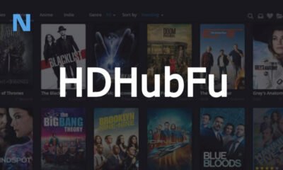 HDHubFU: The Truth About This Free Movie Streaming Site in 2025