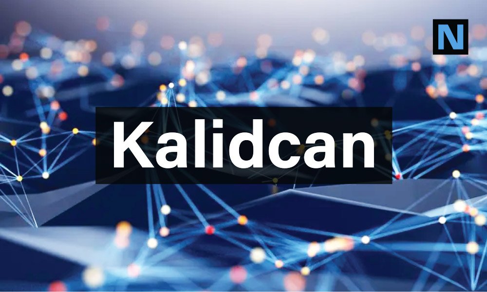 Kalidcan: A Word, A Brand, or Just a Trend? Find Out!