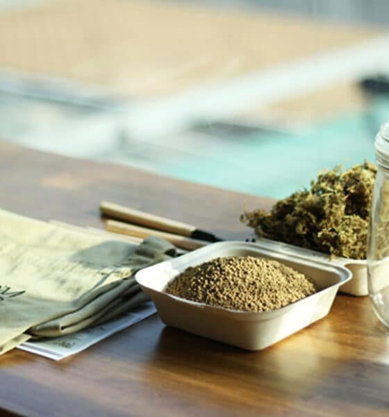 Cannabis Dispensary Deals: How to Save on Your Next Visit
