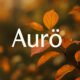 What Does Aurö Mean? A Simple Guide to This Trending Idea