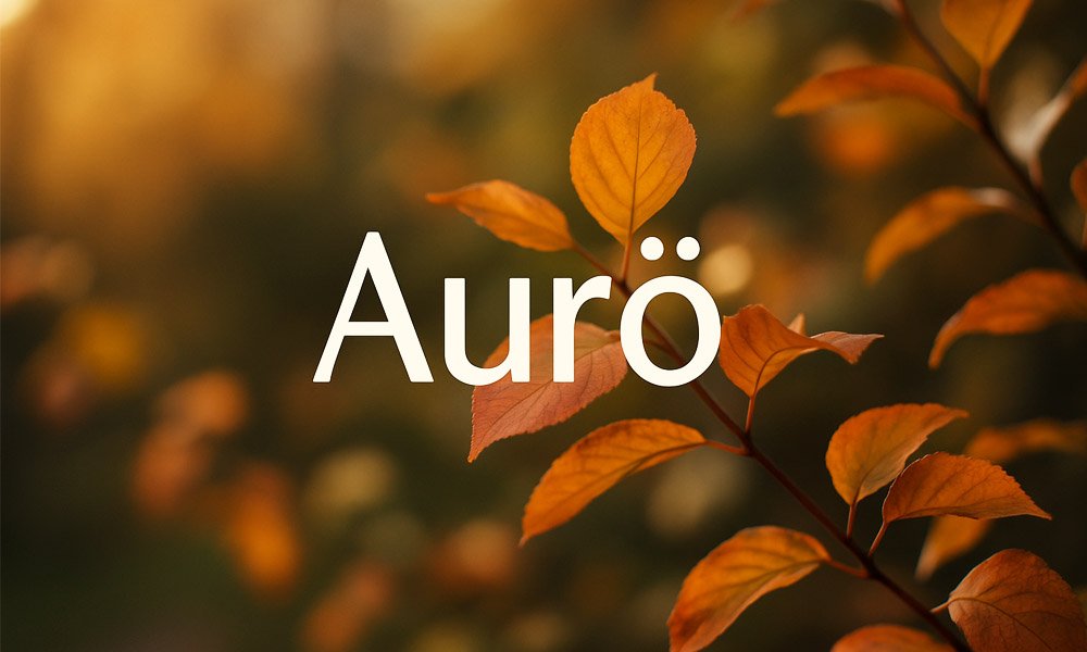 What Does Aurö Mean? A Simple Guide to This Trending Idea
