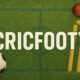 Cricfooty: The Coolest Game You’ve Never Played (But Should!)
