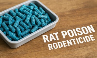 Rat Poison Rodenticide: What It Is and Why You Should Care