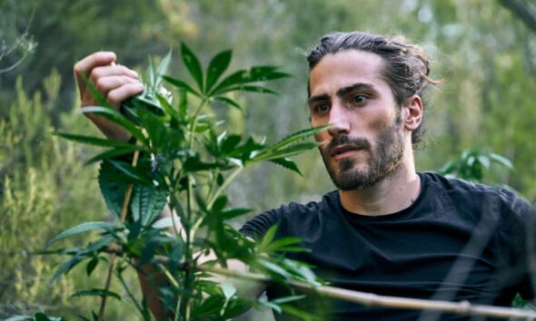 Exploring Cannabis Beyond Just Smoking