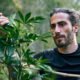 Exploring Cannabis Beyond Just Smoking