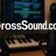 GrossSound.com Review: Is It Really Worth Visiting? Let’s Find Out!