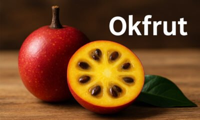 Okfrut: The Superfruit You’ve Never Heard Of (But Should Try Today)