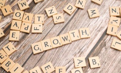 Unlocking Growth: The Power of Professional Marketing Services