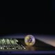 Crypto30x.com Dis Review: Too Good to Be True? Let’s Find Out