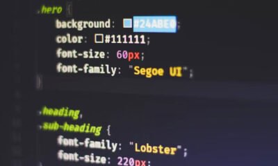 What Is the 2579xao6 Code Bug? Everything Developers Should Know