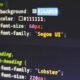 What Is the 2579xao6 Code Bug? Everything Developers Should Know