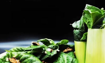 Pravi Celer: The Simple Veggie with Surprising Power