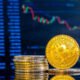 GoCryptoBet.com Bet: What You Need to Know Before You Try