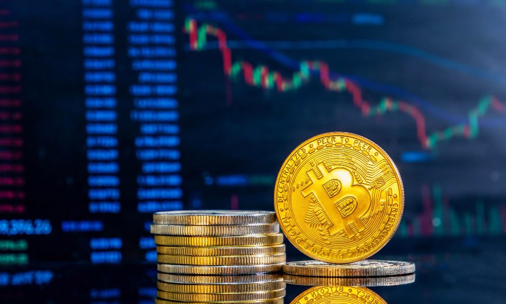 GoCryptoBet.com Bet: What You Need to Know Before You Try