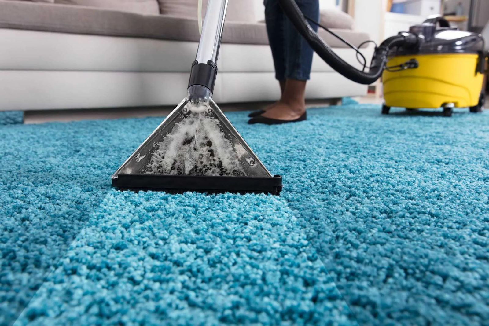 Carpet