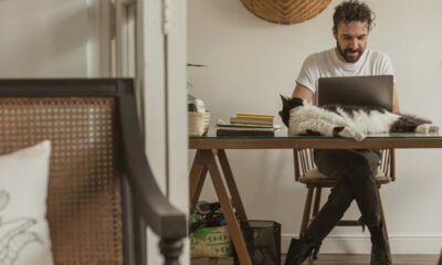 WoofApps Review: A Simple Guide for Pet Business Owners