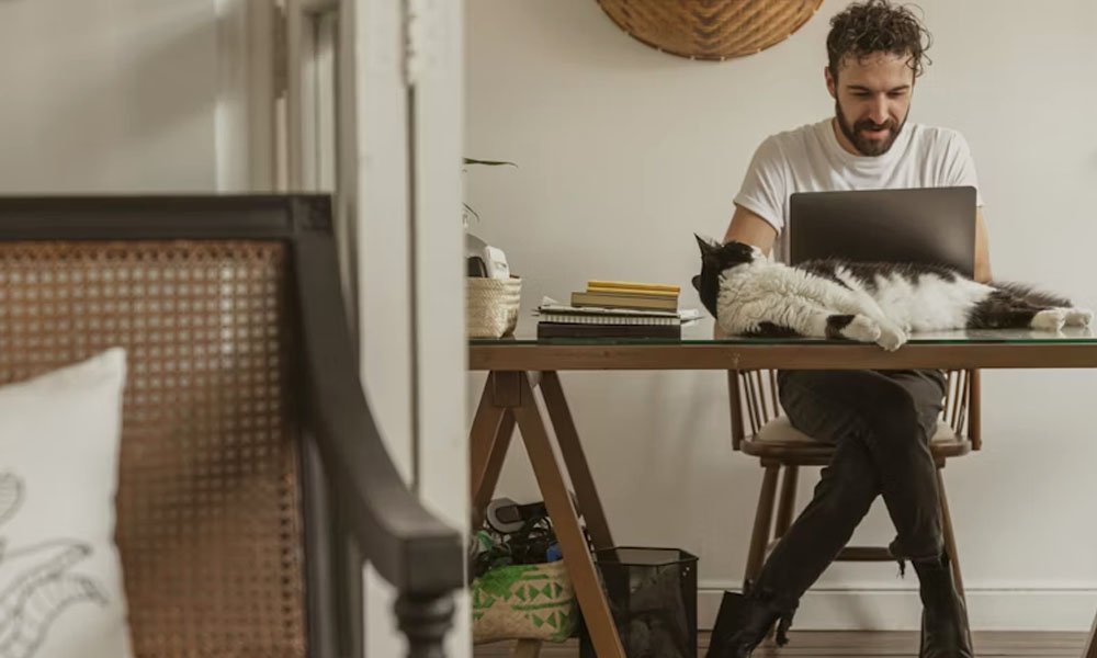 WoofApps Review: A Simple Guide for Pet Business Owners
