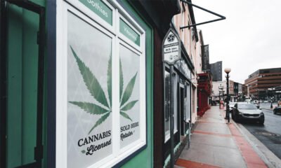 Top Cannabis Product Types and How to Choose the Right One