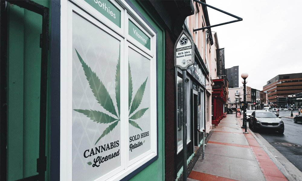Top Cannabis Product Types and How to Choose the Right One