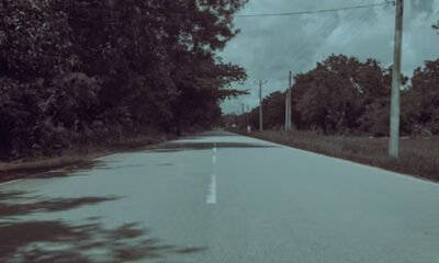 The Truth Behind the Thomas Sullivan Roadkill Story on TikTok