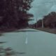 The Truth Behind the Thomas Sullivan Roadkill Story on TikTok