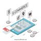 Magento Developer