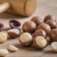 Wholesale Macadamia Nuts