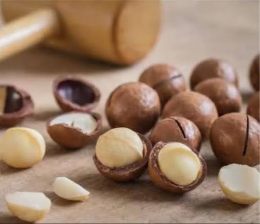 Wholesale Macadamia Nuts