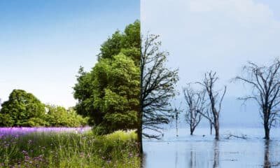 Cool White VS Daylight: Which Is Brighter?
