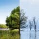 Cool White VS Daylight: Which Is Brighter?