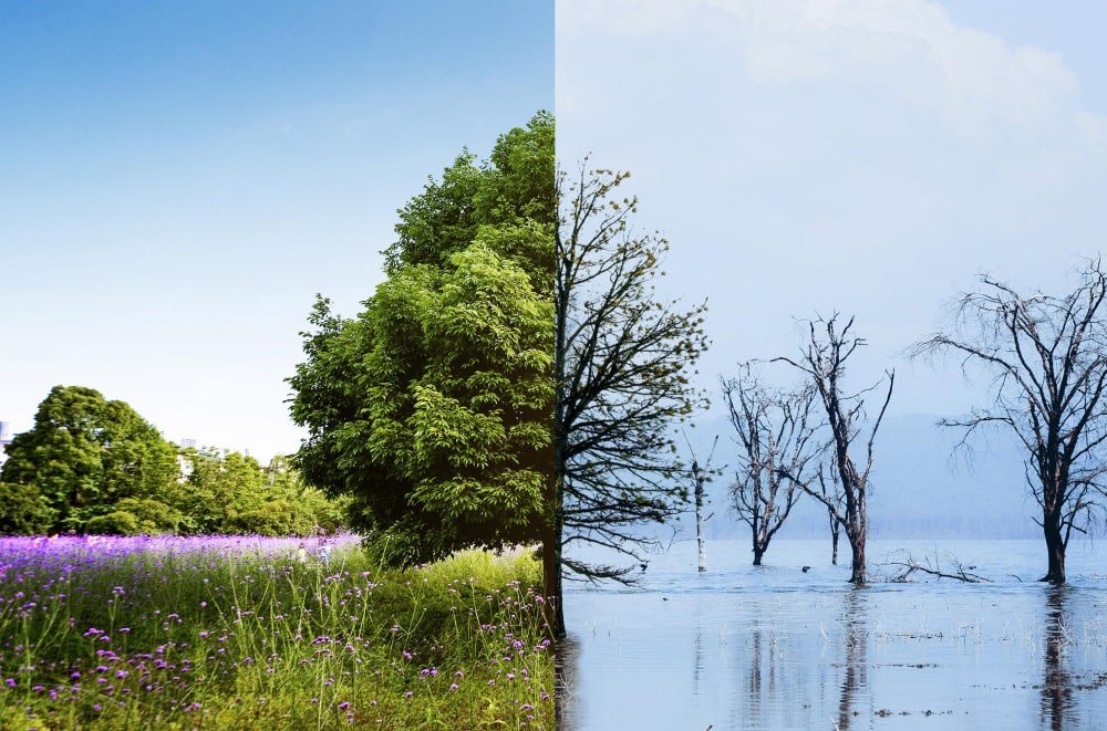Cool White VS Daylight: Which Is Brighter?