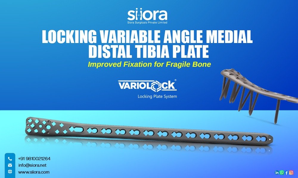 Tibia