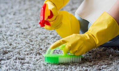 Get Rid of Carpet Stains: Hire Expert Cleaners Near You