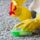 Get Rid of Carpet Stains: Hire Expert Cleaners Near You