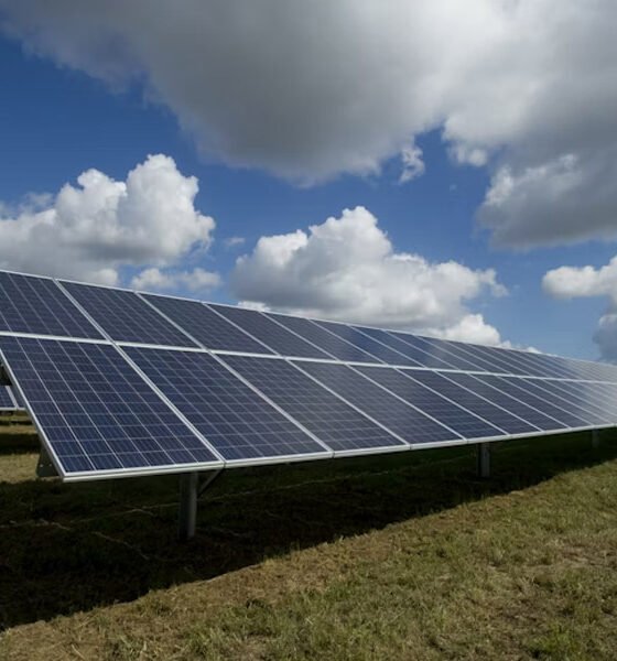 A Guide To Solar PV For Homeowners