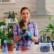 Discover the Best Indoor Pots Online for Stylish and Durable Home Gardening