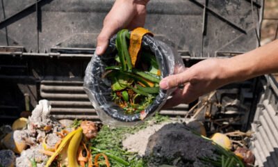 Green Waste, Hard Rubbish, and Everything In Between
