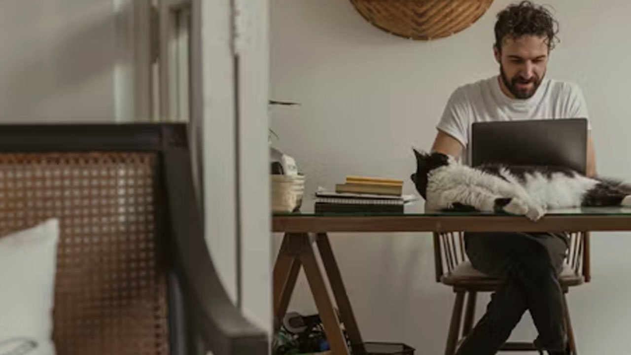 About Zaqrutcadty7 Bonus: What It Is, How It Works, and Why It Matters