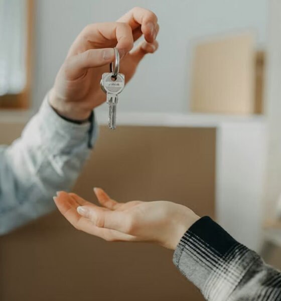 How Innovative Property Solutions Are Changing Real Estate