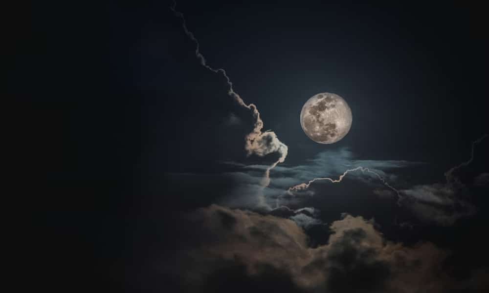 What Is Tehidomcid97 On? The Mysterious Setting Everyone’s Talking About