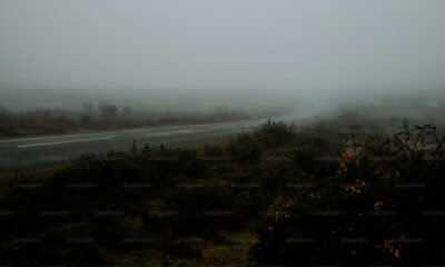 What Is CandideInOhio? A Quiet Journey That’s Catching Attention