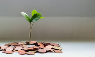 The Booted Fundraising Strategy: Grow Big Without VC Money